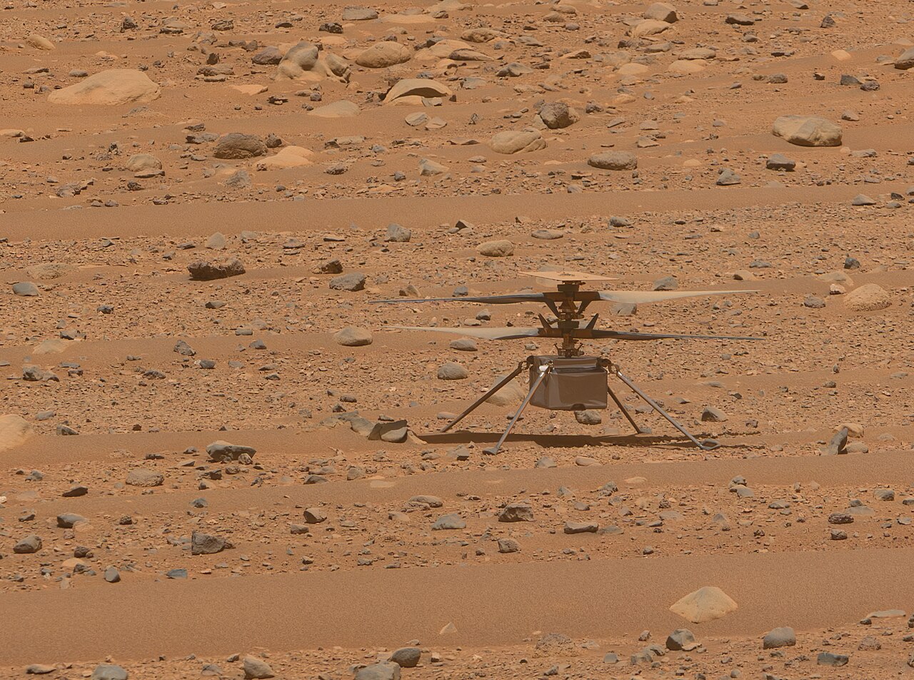 NASA's Ingenuity helicopter standing on the reddish surface of Mars.