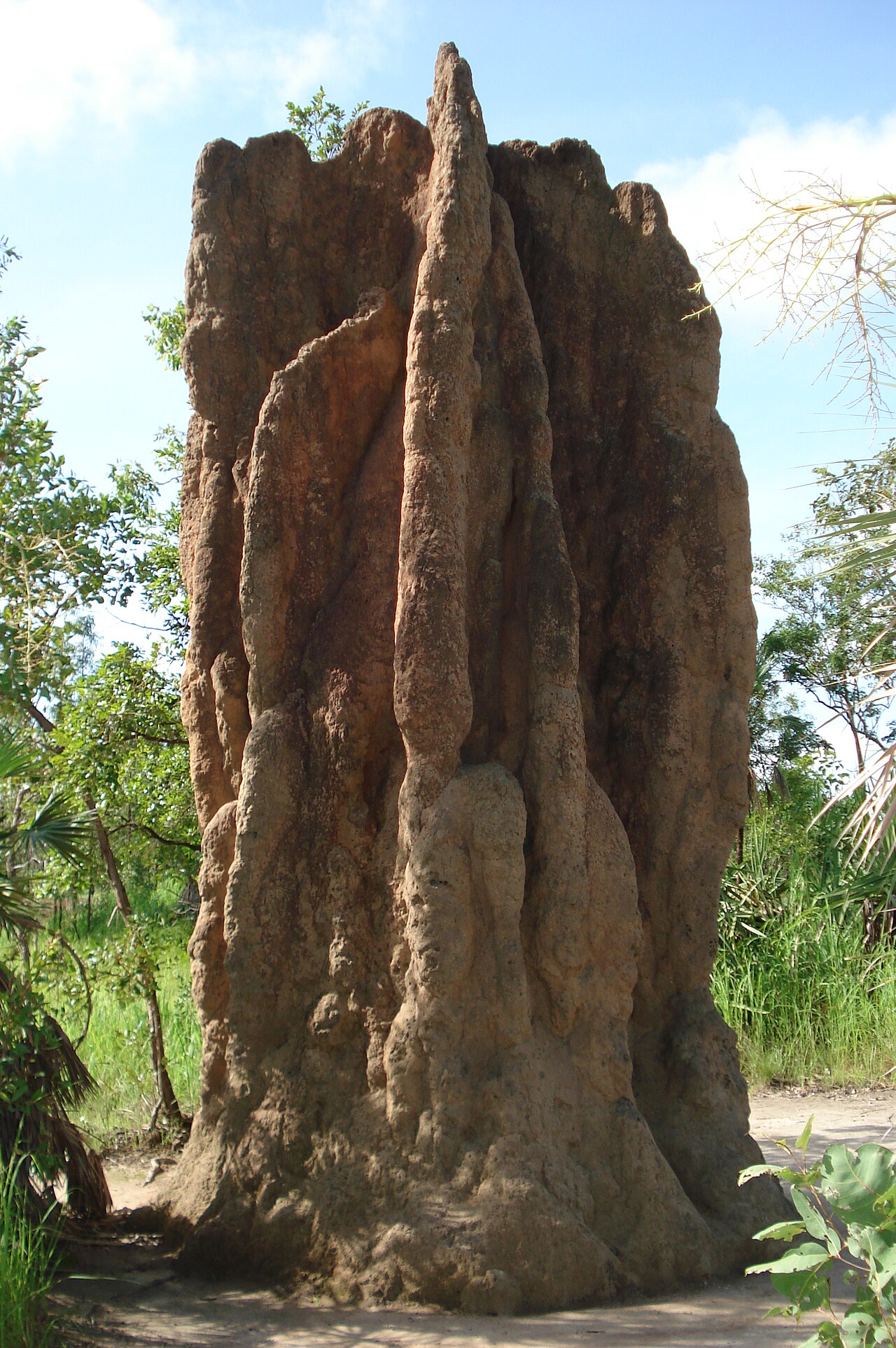 A towering termite cathedral mound rising from the savanna, sculpted with chimneys and buttresses.